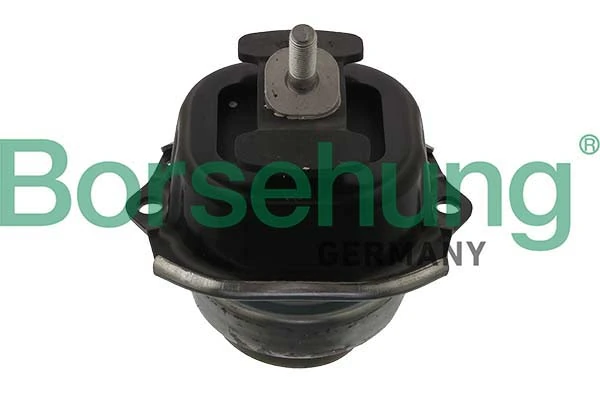 B12632 Borsehung