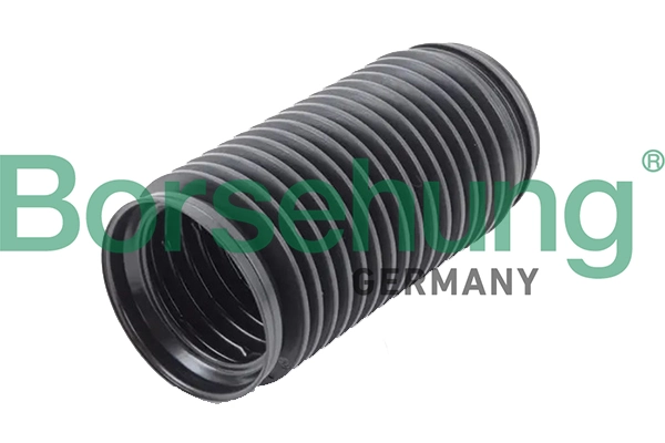 B19167 Borsehung