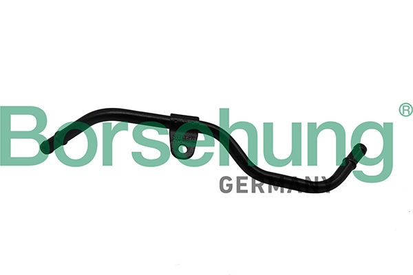 B19265 Borsehung
