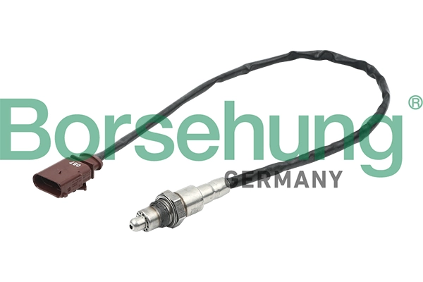 B16931 Borsehung