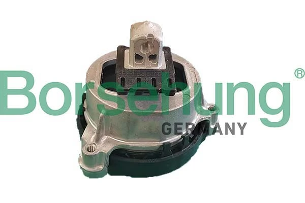 B12609 Borsehung