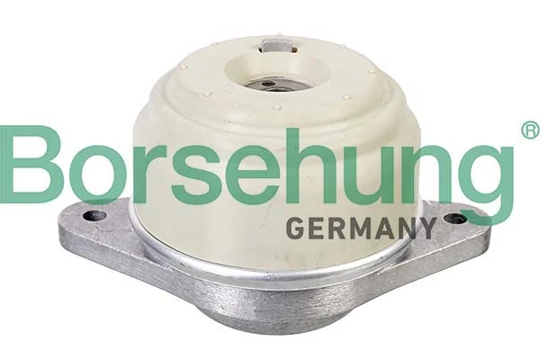B12651 Borsehung