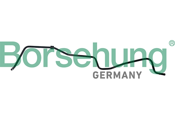 B19264 Borsehung