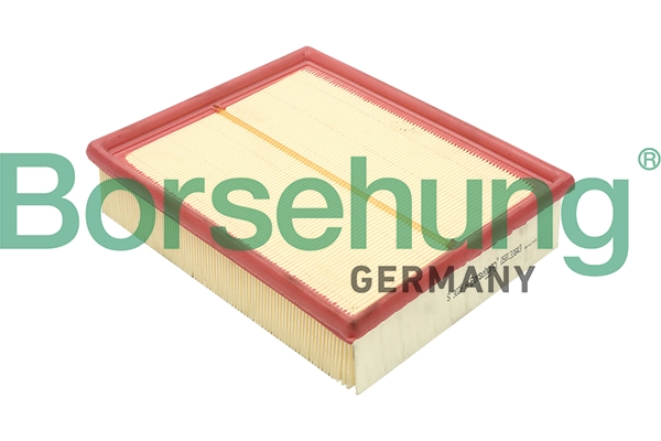 B12804 Borsehung