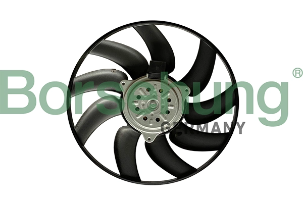 B11266 Borsehung