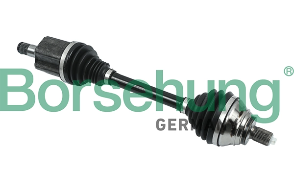 B18345 Borsehung