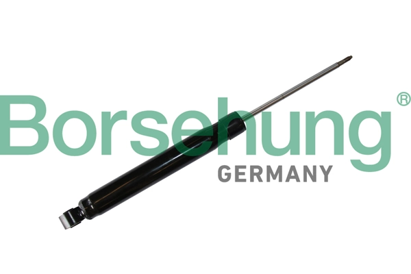 B11181 Borsehung