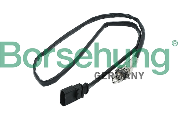 B16930 Borsehung