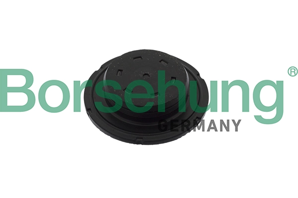 B10644 Borsehung