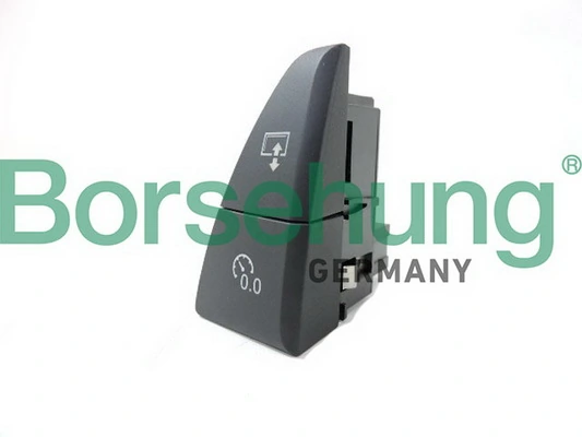 B18599 Borsehung
