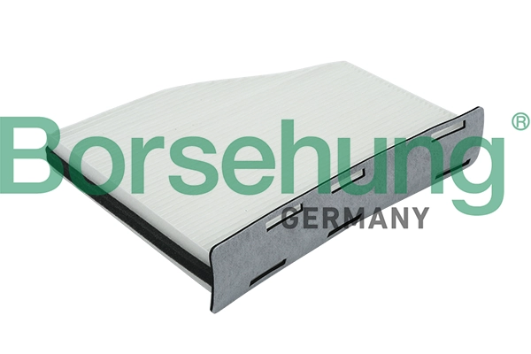 B12798 Borsehung