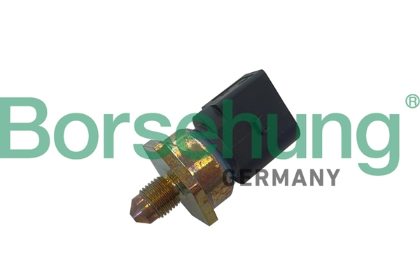 B11867 Borsehung