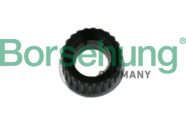 B19122 Borsehung
