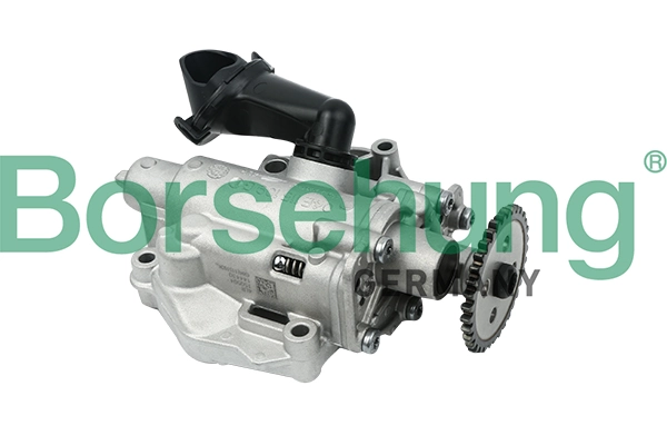 B12693 Borsehung