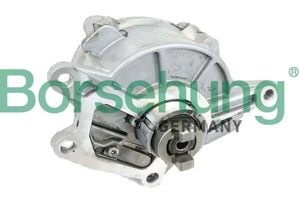 B12526 Borsehung