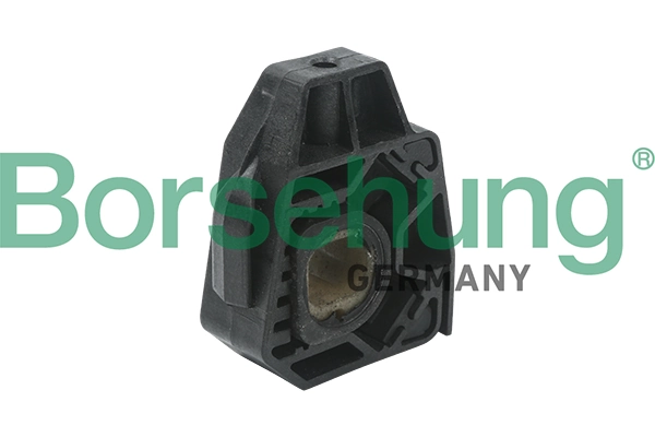 B11364 Borsehung