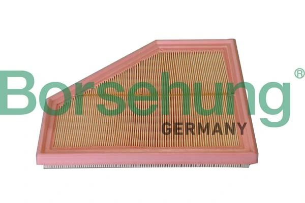 B12291 Borsehung