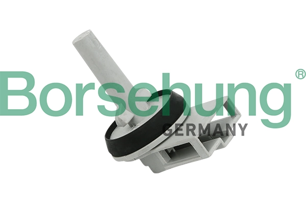 B11447 Borsehung