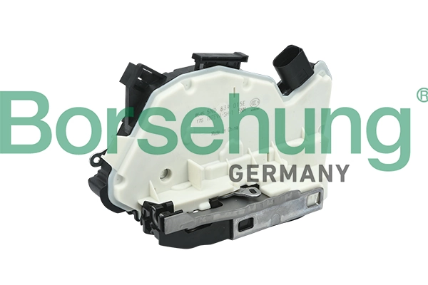 B18653 Borsehung