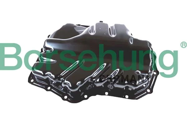 B10660 Borsehung