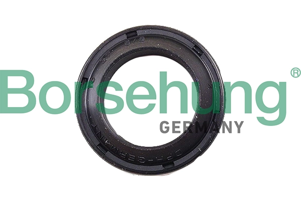 B17833 Borsehung