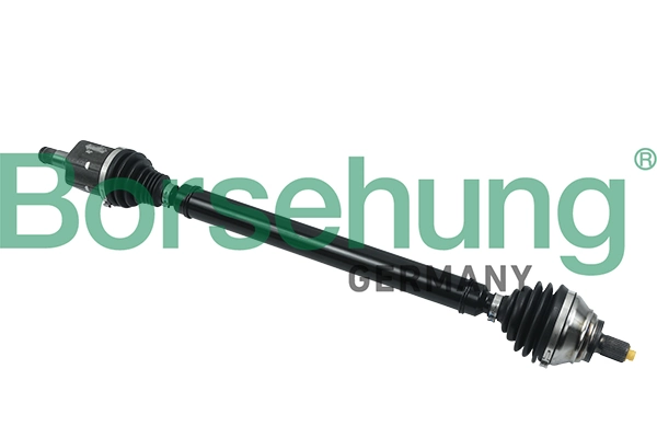 B18328 Borsehung