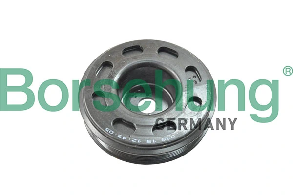 B12079 Borsehung