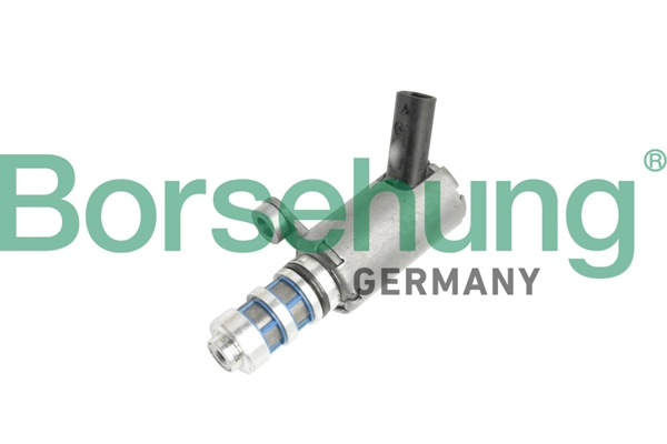 B11858 Borsehung