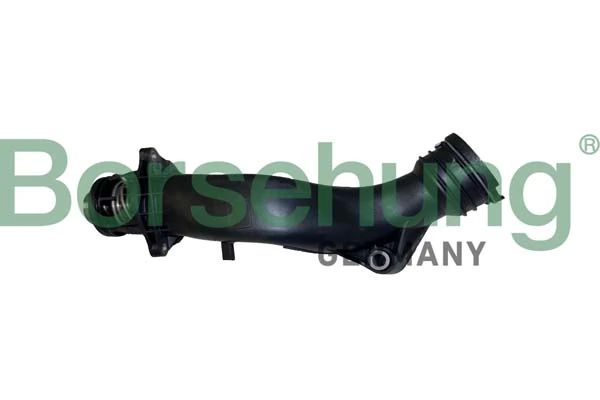B10560 Borsehung