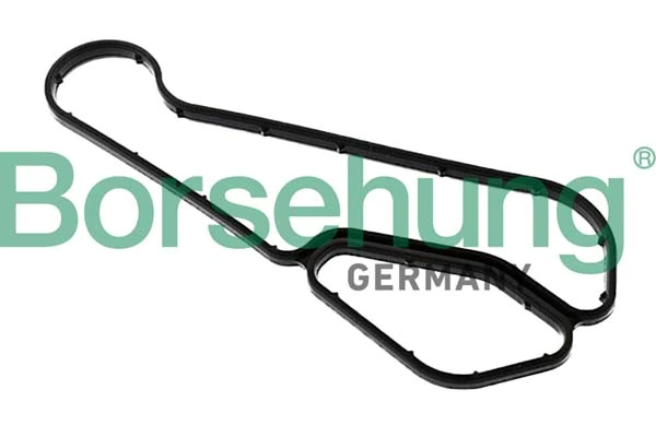 B12509 Borsehung