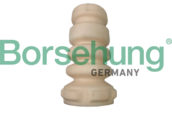 B10015 Borsehung