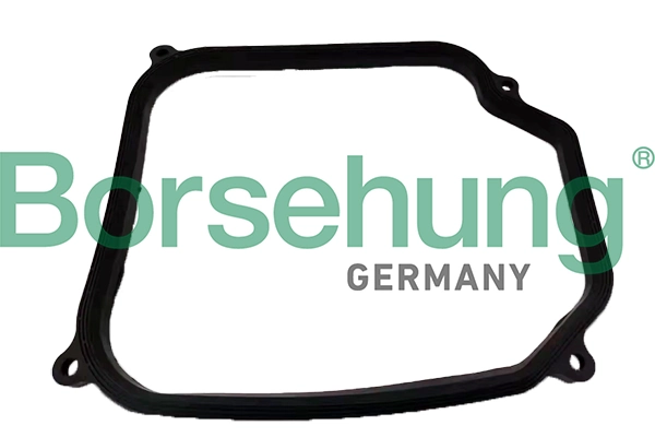 B12726 Borsehung