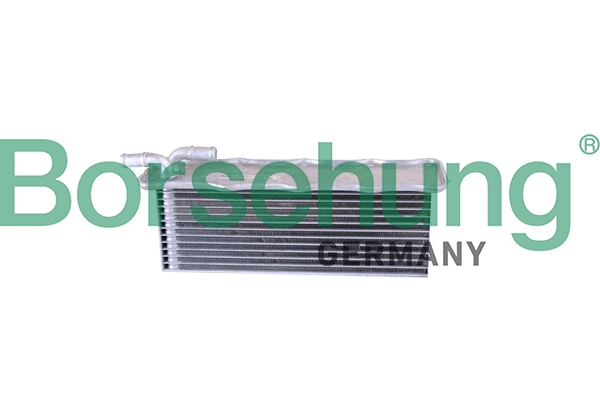B10880 Borsehung