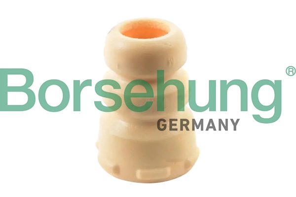 B10025 Borsehung