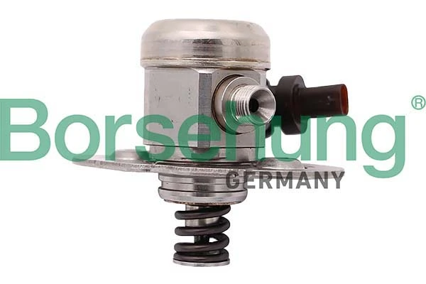 B12557 Borsehung