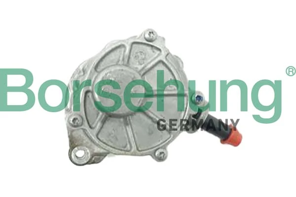 B12527 Borsehung