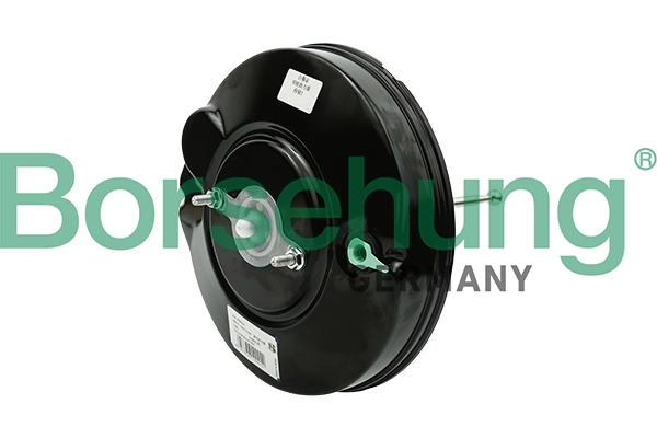 B15998 Borsehung