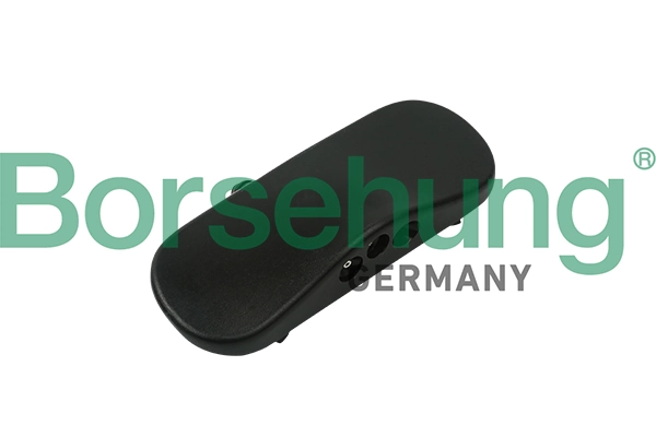 B18494 Borsehung