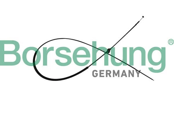 B10780 Borsehung