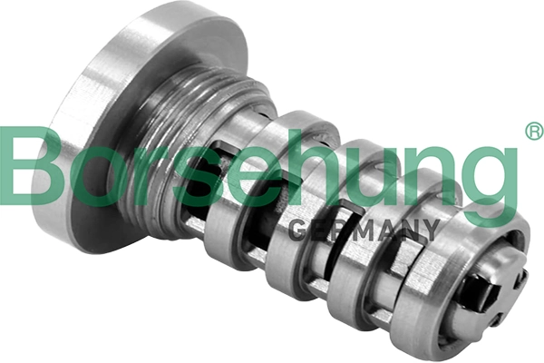B12694 Borsehung