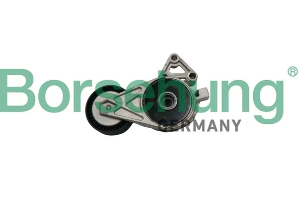 B12239 Borsehung