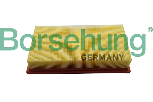 B19093 Borsehung