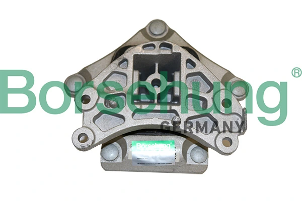 B19078 Borsehung