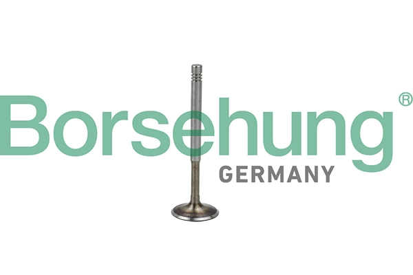 B19009 Borsehung