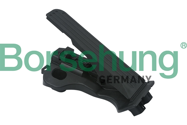 B18726 Borsehung