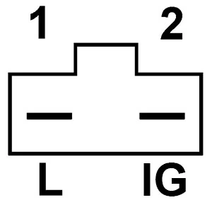134751 Cargo Regulador alternador
