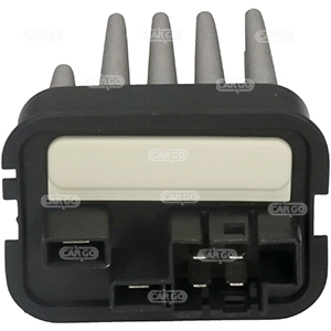 261405 Cargo