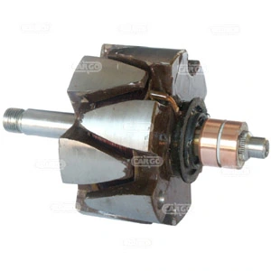 Rotor del alternador para Ford Escort ANL