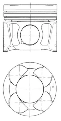 WG1016760 Wilmink Group