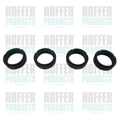 Kit de reparación de inyectores Opel Vectra C